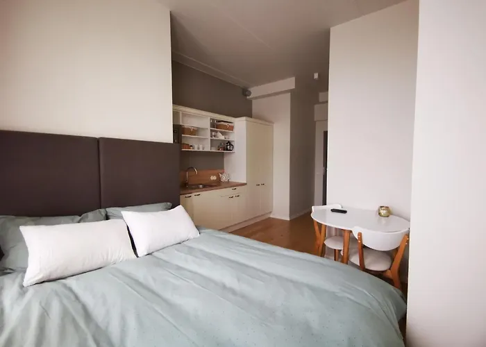 Rotermanni Mere Apartamento Talin